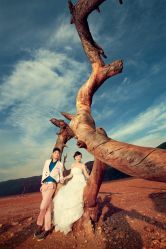 -费拉摄影(天廊T66店)