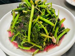 -沪依小酒馆心意菜