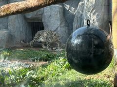 -青藏高原野生动物园