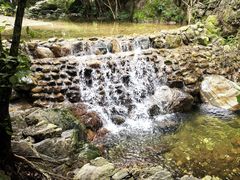 -牛背梁国家森林公园