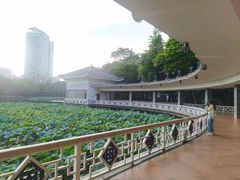 -荔湾湖公园