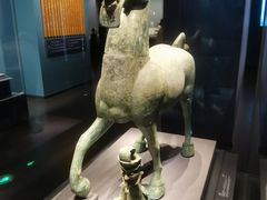 -广西壮族自治区博物馆