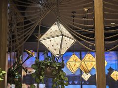 -云海肴·汽锅鸡·云南代表菜(天津国金汇店)