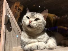 -zoonana室内动物园(东方福来德店)