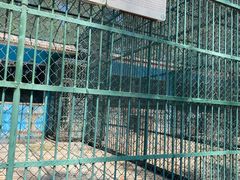 -秦皇岛野生动物园
