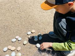 -甜心庄园·甜心草莓采摘园(西青中北店)