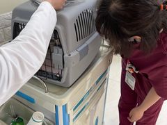 -美联众合动物医院·24h京西诊疗中心