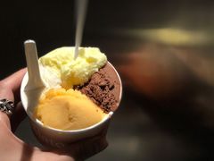 -Dip in Gelato(富民路店)