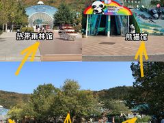 -大连森林动物园