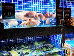 水产区-徐记海鲜(大明宫|北二环店)