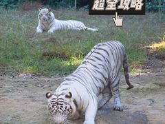 -杭州野生动物世界