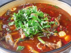 -苏记溪河鲢鱼庄(天府新区店)
