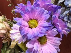 -清真·龙猫食堂(詹滨西里店)