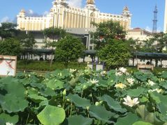 -龙环葡韵住宅式博物馆