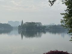 -食膳公园包子铺(烈士公园店)