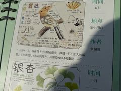 -上海植物园-4号门售票处