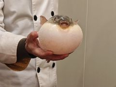 -长顺河豚馆(江洲东路)