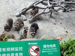-上海野生动物园