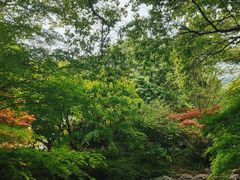 -中国茶叶博物馆(双峰馆区)