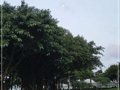 -深圳湾公园(南山区)