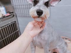 -宠福鑫康馨动物医院·骨科·眼科