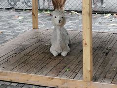 -长白岛森林公园