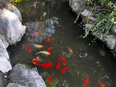 -南京市民俗博物馆(甘熙故居)