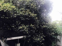 -桂林站
