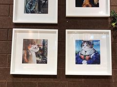 -藏猫猫咖啡主题馆(中央大道店)