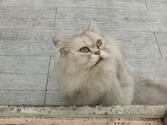 -小时光咖啡馆(北锣鼓巷店)