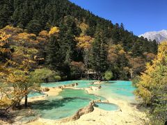 -黄龙山原始森林景区