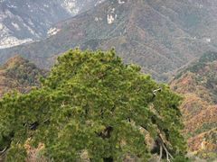 -终南山国家森林公园