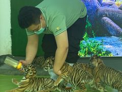 -栾川竹海野生动物园