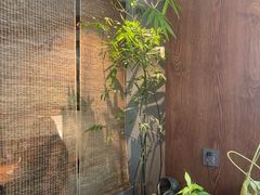 -本处·素食·融合料理(南油店)