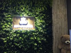 -星宝贝儿童摄影