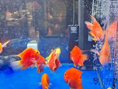 -C31地窖餐厅(黑龙江北路店)