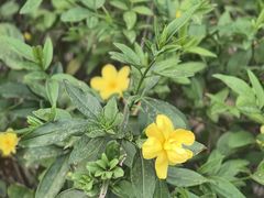 -七桥瓮公园