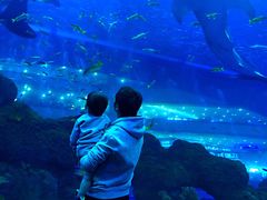 -成都浩海立方海洋公园