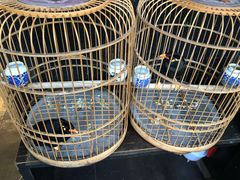 -到家尝北京菜(西坝河店)