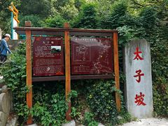 -武当山风景区-太子坡