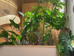 -新太二·鲜料川菜(晶耀前滩店)