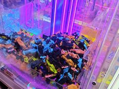 -爱玩嘉年华(江北一店)
