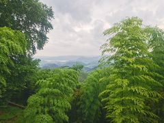 -看见远方·莫干遥远的山民宿