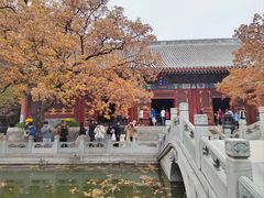 -香山公园