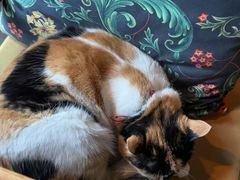 -BUND·FIVE外滩5号(天际店)