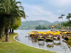 -深圳仙湖植物园