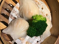 -南枝记