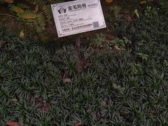-广州神农草堂中医药博物馆
