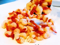 -蝶园·装修中(BFC外滩金融中心店)