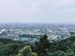 -杭州半山国家森林公园